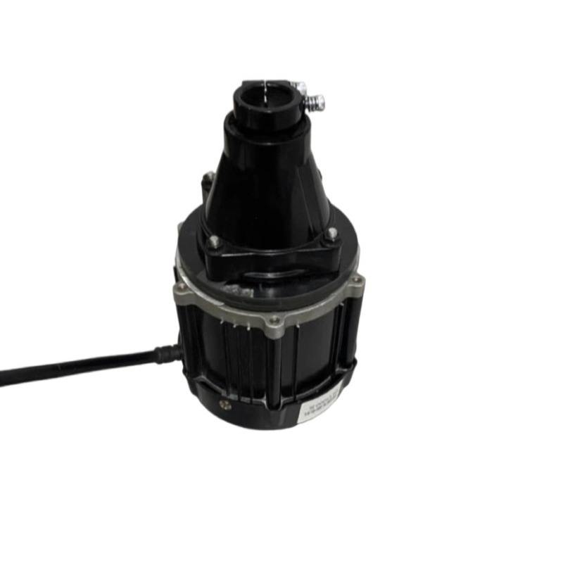 Motor fueraborda sin escobilla - Fishing Boat Trolling Motor reseña y precio