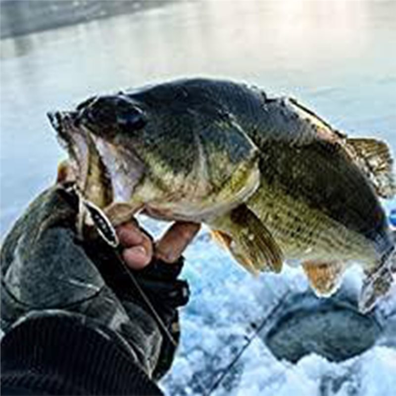 ABUE-Kayak Sonda de Profundida - Fishing Boat Depth Finder reseña y precio